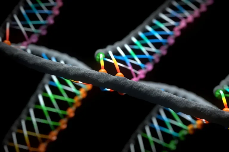 The World of Genomic Mutations